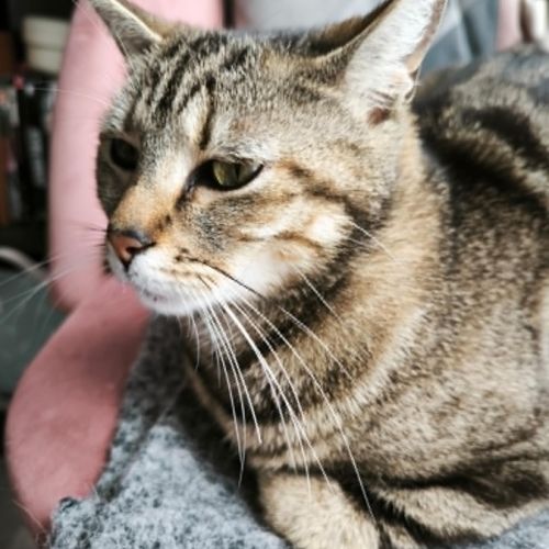 Illy, une petite âme tendre qui rêve enfin de son #7