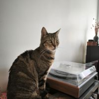Illy, une petite âme tendre qui rêve enfin de son #1