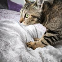 Illy, une petite âme tendre qui rêve enfin de son #3