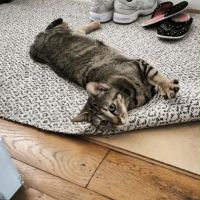 Illy, une petite âme tendre qui rêve enfin de son #4