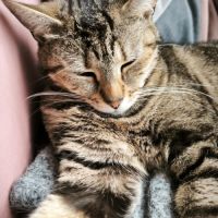 Illy, une petite âme tendre qui rêve enfin de son #5