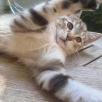 Fanny une petite compagne douce et proche de vous #1
