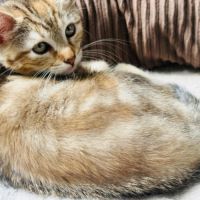 Fanny une petite compagne douce et proche de vous #5