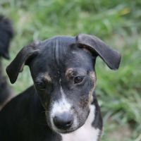 Darwin, bébé câlin #1