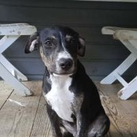 Darwin, bébé câlin