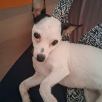 Betsy la douce #1