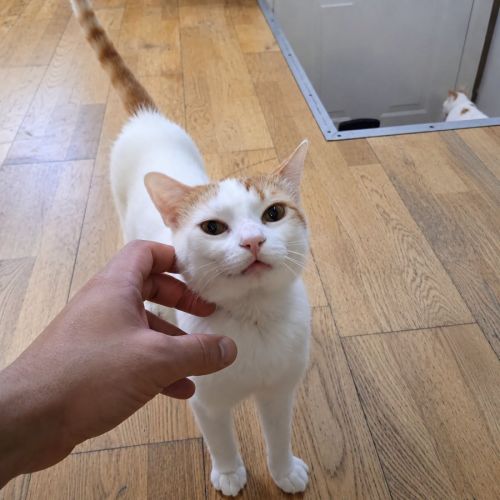 Chat jeff