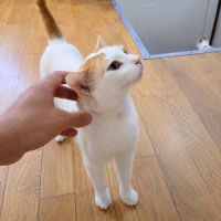 Chat jeff #1