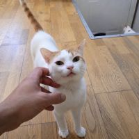 Chat jeff #0
