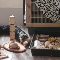 Furetons a réserver #8