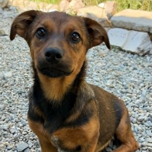 Sami le bebe #3