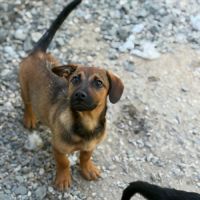 Sami le bebe #2