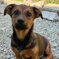 Sami le bebe #3