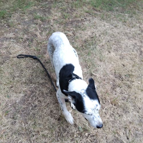 A donner urgent #2