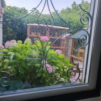 Je récupère tout les oiseaux #2