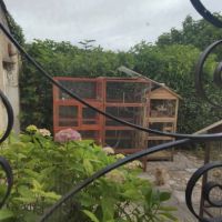 Je récupère tout les oiseaux #3