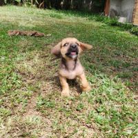 Milo le joyeux petit coquin #9
