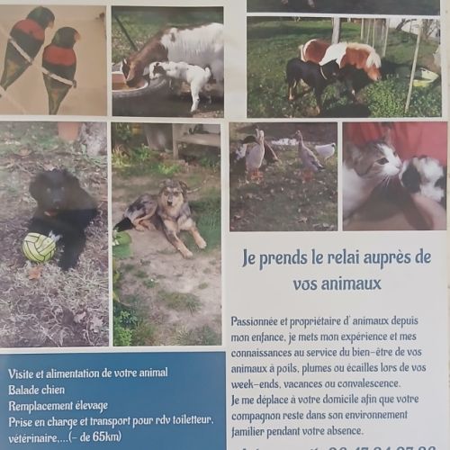 Horsesitter et petsitter
