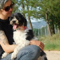 Bob, 6ans. petit chien très affectueux #5