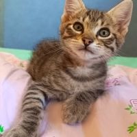 Tim, au regard de braise