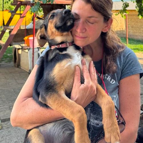 Zodia jeune roumaine à l'adoption #5