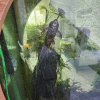 Arrêt aquarium donne poissons contre bons soins... #3