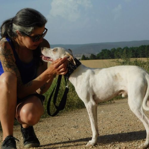 Puck, 8 mois un concentré de 9 kg de tendresse ! #5