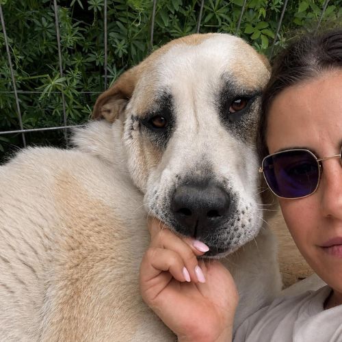 Baloo grand cœur sur pattes #6