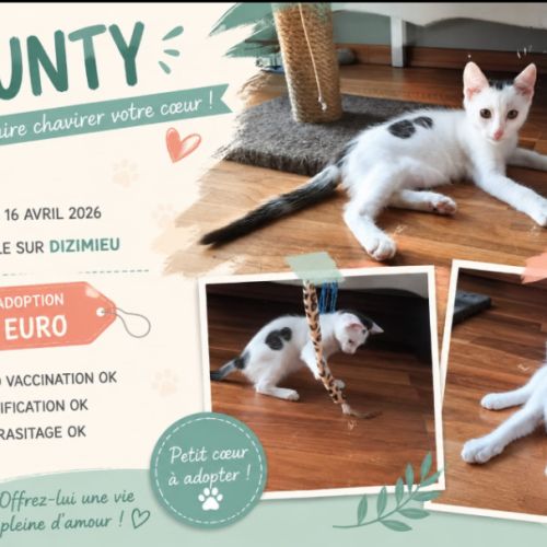 Bounty