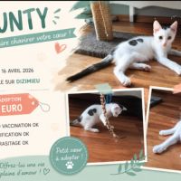 Bounty
