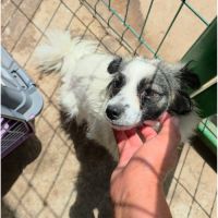 Osiris 5kg besoin de douceur #2