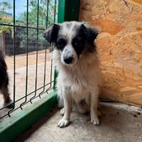 Osiris 5kg besoin de douceur #10