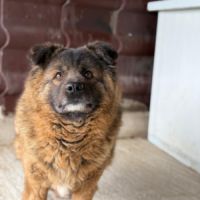 Bear tellement besoin d'amour #2