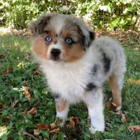Jolis et doux petits modèles #2