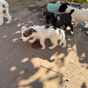Zia petit bébé #3