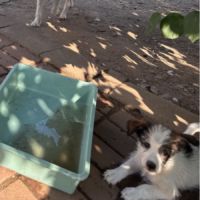 Zia petit bébé #2