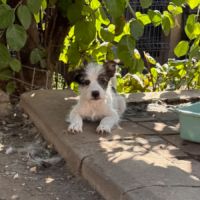 Zia petit bébé #8