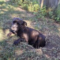 Paty, la tendre