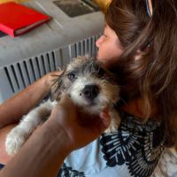 Frida vient de roumanie #2