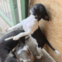 Neo trouvé dans une poubelle #1