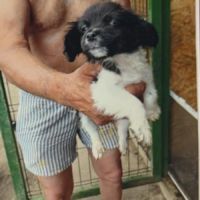Neo trouvé dans une poubelle