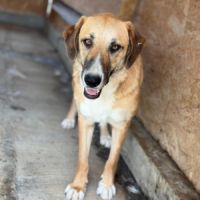 Mari trouvé dans la rue bébé #5