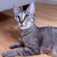 Zélye à l'adoption #2