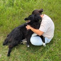 Luna rêve d'un foyer qui l'aime #4