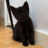 Nyr à la réservation #2