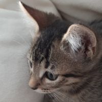 Jack à la réservation