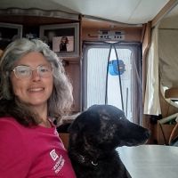 Donne pour cause de maladie un mâle de 4 ans #3