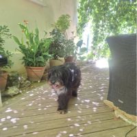 Anna-mary recherche une famille bienveillante #6