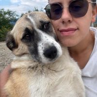 Bulla pleine de vie, à l'adoption #4