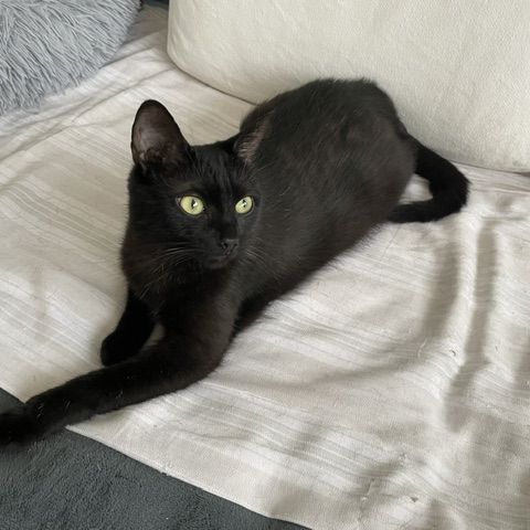 Bella-maman hyper câline #2